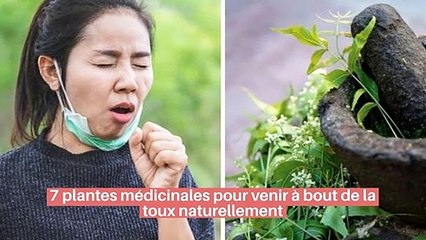 7 plantes médicinales pour venir à bout de la toux naturellement_IN