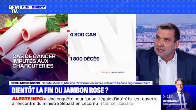 BFMTV répond à vos questions : Quelles mesures plus strictes pour le Covid ? - 13/01