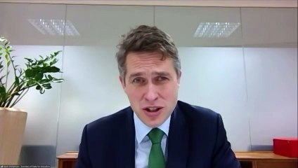 Williamson 'disgusted' at picture of free school meal