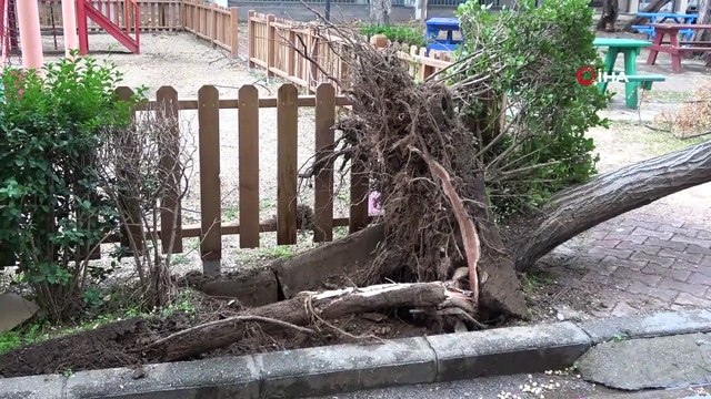 Antalya’da hortum ağaçları kökünden söktü, çatıları uçurdu