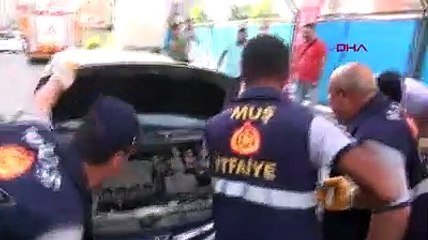 Muş’ta 90 santimlik engerek yılanı paniği!