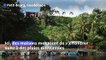 En Guadeloupe, l'érosion menace les habitations et grignote la plage