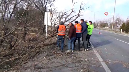 Karaman’da şiddetli rüzgar ağaçları devirdi