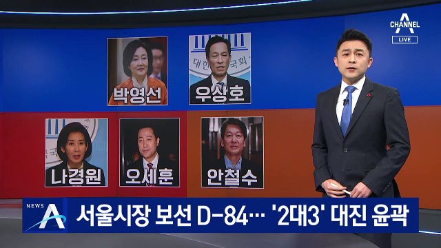 서울시장 대진표 짜졌다…여권은 양자 대결, 야권은 3강 구도