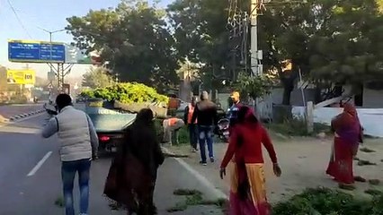 इनके लालच से सडक़ पर विचरण करते हैं मवेशी, निगम ने की कार्रवाई