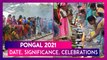 Pongal 2021: Date, Significance, Celebrations Of Bhogi, Surya, Mattu & Kanum Pongal Harvest Festival