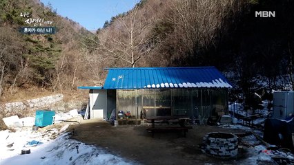 집을 품은 산! 어머니의 품처럼 아늑한 자연인의 집!