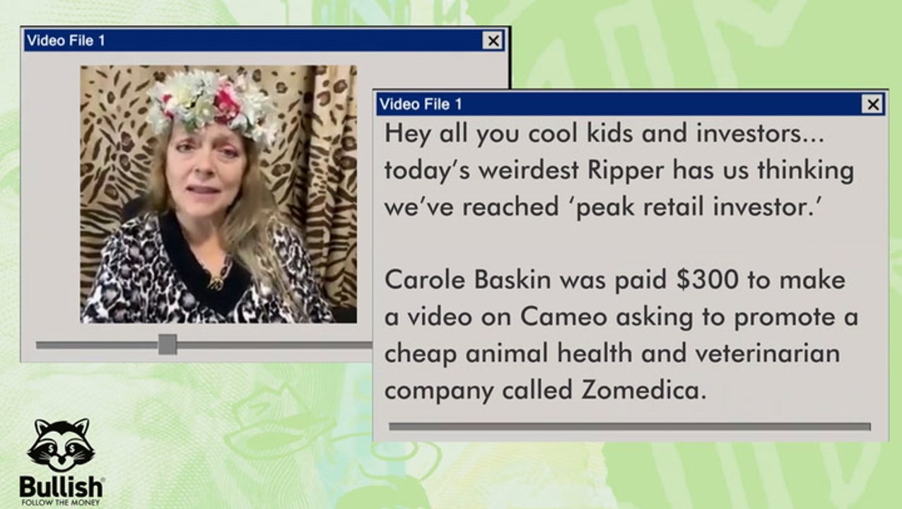 Tiger King’s Carole Baskin Causes a Certain Stock to Roar After Cameo Appearance