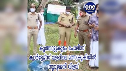എറണാകുളം; കൂത്താട്ടുകുളം പൊലീസ് ക്വാര്‍ട്ടേഴ്‌സ് വളപ്പിലെ മത്സ്യകൃഷിയില്‍ നൂറുമേനി വിളവ്