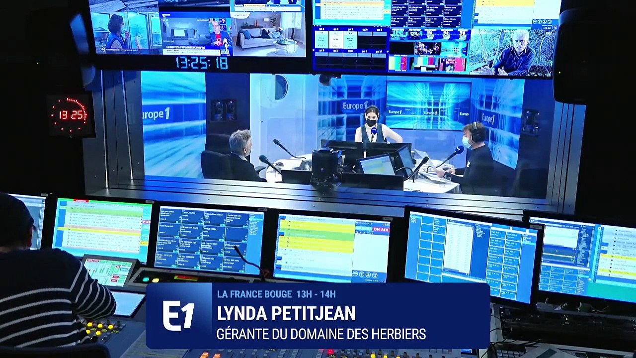 Bégonia, bourrache… Ces fleurs que vous pouvez manger