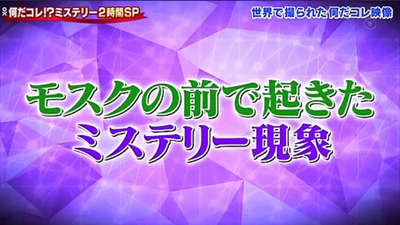 無料 バラエティー 番組 動画 - 世界の何だコレ！？ミステリー   動画 9tsu   20...