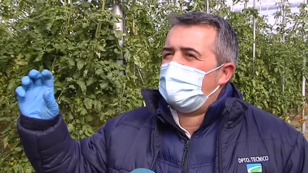 Filomena también deja importantes destrozos en el campo