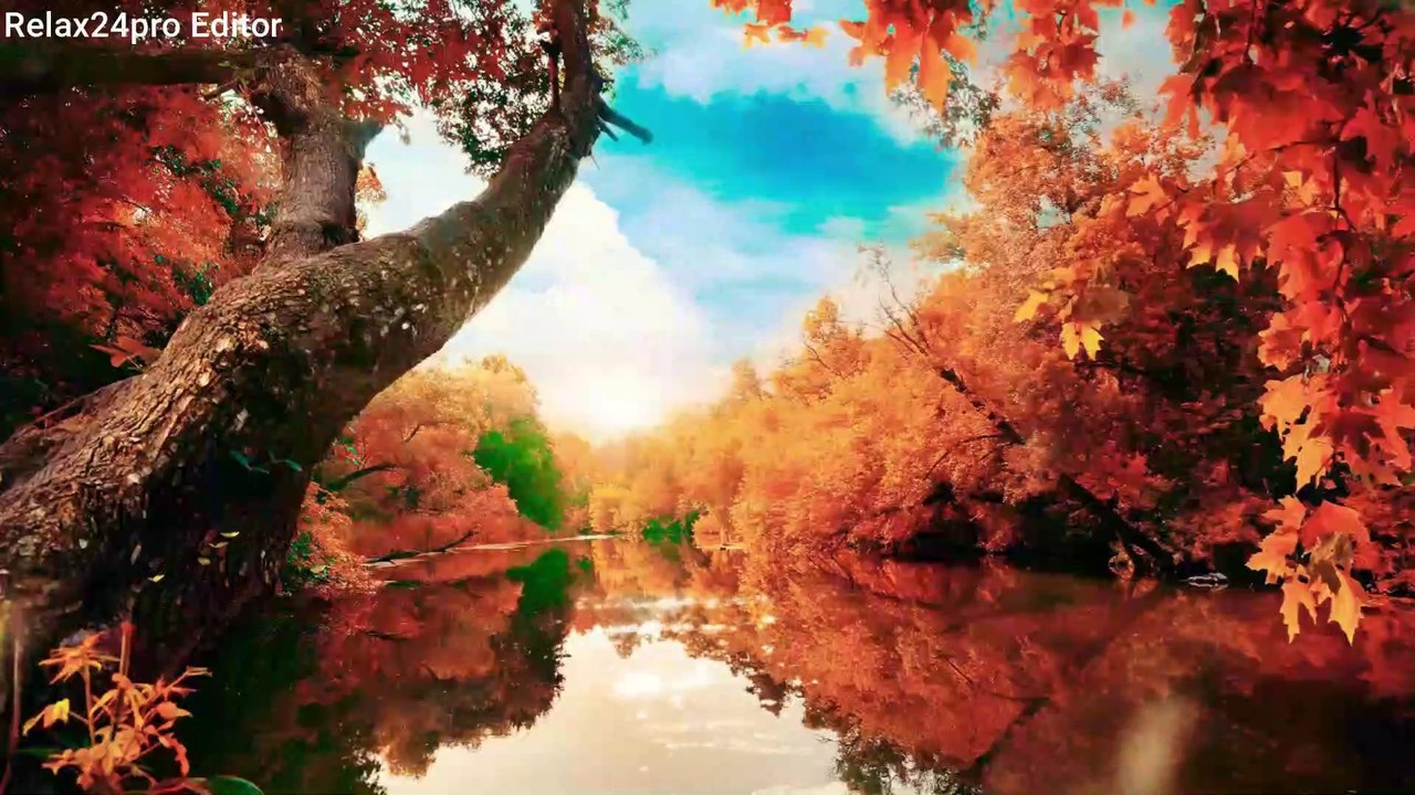 Relaxing River Sounds 8 hours Gentle River, Nature Sounds, Singing Birds Ambience