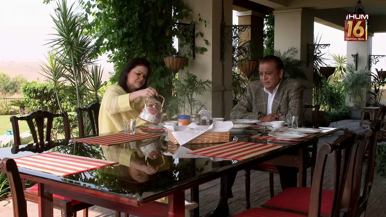 Bhool Jaa Ay Dil Episode 43 HUM TV Drama 13 January 2021