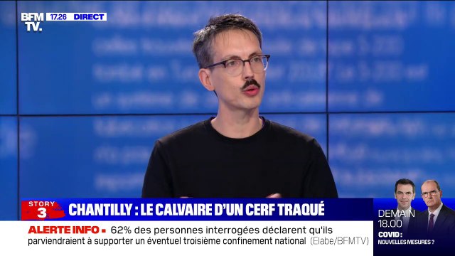 Cerf traqué à Chantilly: pour Stanislas Broniszewski (Abolissons la vénerie aujourd’hui), la chasse à courre continue ses dégâts
