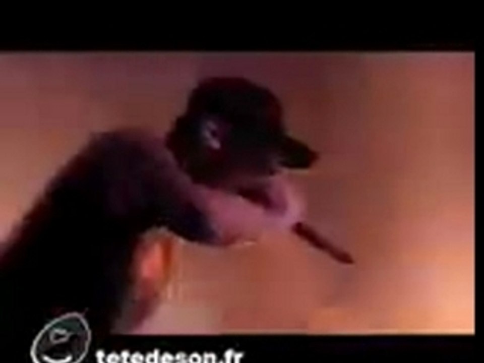 Sikhshot