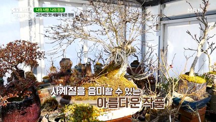 눈을 뗄 수 없는 ♠아름다운 작품♠