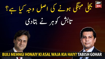 What is the real reason for electricity to be expensive? Tabish Gohar