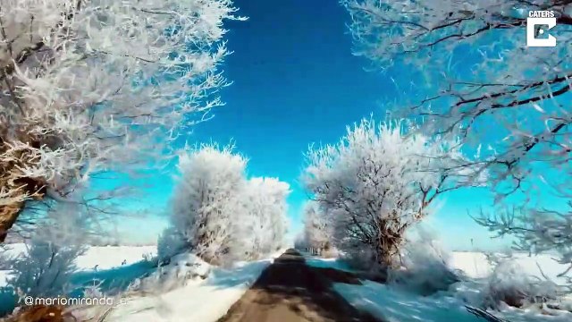 Cette route de campagne sous la neige en Espagne est magnifique