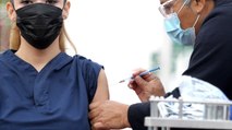 Gobierno tenía adelantados tres procesos para la compra de vacunas contra el covid-19 desde octubre