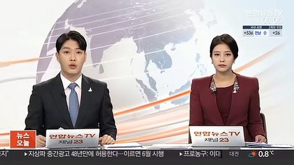 한일 외교 국장급 협의 추진…위안부판결 논의 가능성
