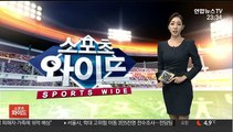 프로축구 울산, 강원서 공격수 김지현 영입