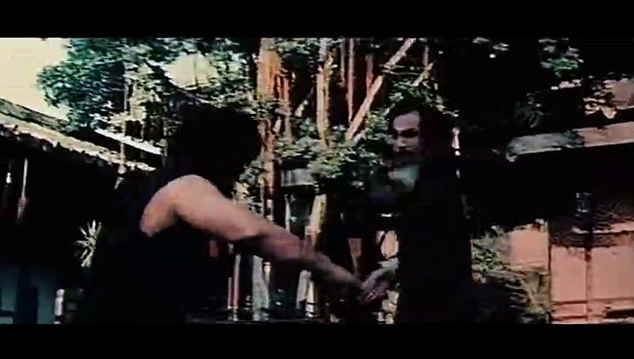 Wu Tang Collection - Kung Fu du Singe _Monkey Kung fu -ENGLISH Subtitled part 1/2