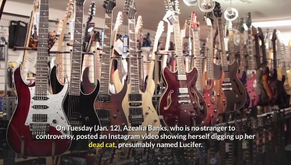 Azealia Banks Faces Backlash After Appearing to Dig Up Her Dead Cat and