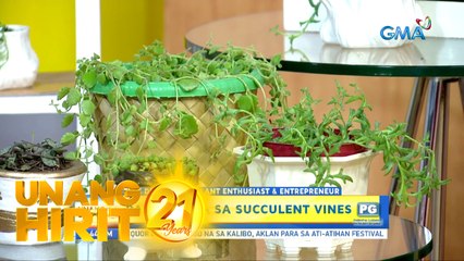 Unang Hirit: UH Plantitas: Succulent Vines