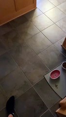 Son Sends Mom's Puzzle to Pieces