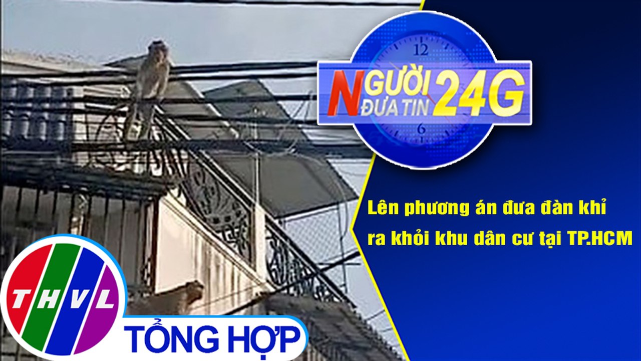 Người đưa tin 24G (6g30 ngày 14/1/2020) - Lên phương án đưa đàn khỉ ra khỏi khu dân cư tại TP.HCM