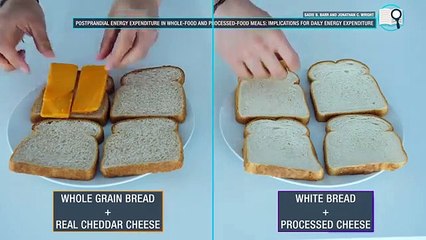 Fulll day body workout diet simple incredients  plan