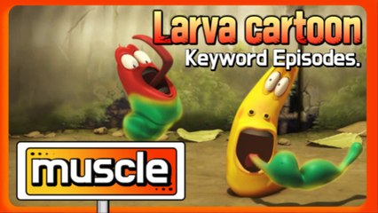 KEYWORD CARTOON | muscle | Larva Official Channel