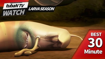 RANDOM PLAY I Watch 30 minutes a day!! I Ep.43I Larva Cartoon I Larva Official Channel  I part.2