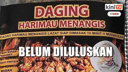 MyIPO: Cap dagang 'Harimau Menangis' masih di peringkat pemeriksaan