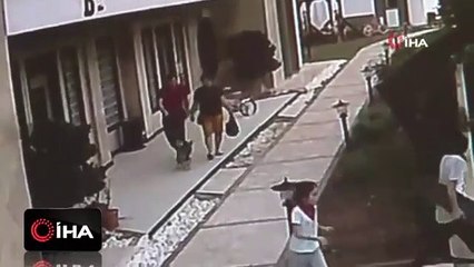 Bir anda ortaya çıkan kedi, aileye dünyayı dar etti