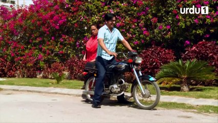 Dulha Bhai | Episode 01 | Comedy Play | Nabeel | Sophia Ahmed | Benita David | Urdu1 TV Dramas