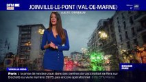 Météo Paris-Ile de France du 14 janvier : De la grisaille et quelques précipitations