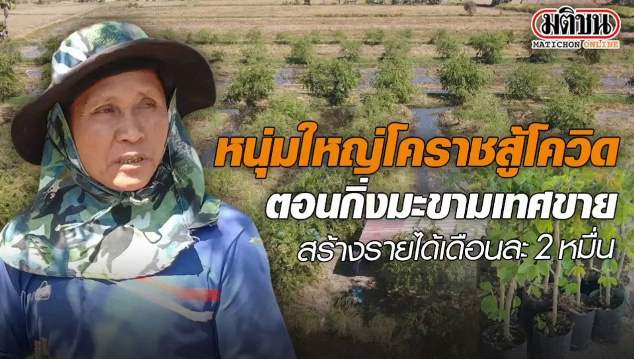 หนุ่มใหญ่โคราชสู้โควิด ตอนกิ่งมะขามเทศขาย สร้างรายได้เดือนละ 2 หมื่น
