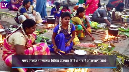 Makar Sankranti 2021: जाणून घ्या मकर संक्रांती चे महत्व आणि माहिती