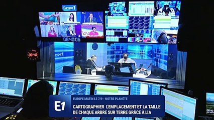 Intelligence artificielle : l’emplacement et la taille de chaque arbre sur terre bientôt cartographiés