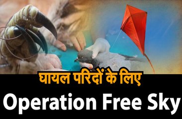 घायल परिंदों के लिए ऑपरेशन फ्री स्काई