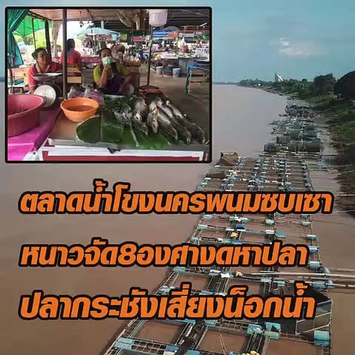 ตลาดน้ำโขงนครพนมซบเซา หนาวจัด 8 องศางดหาปลา
