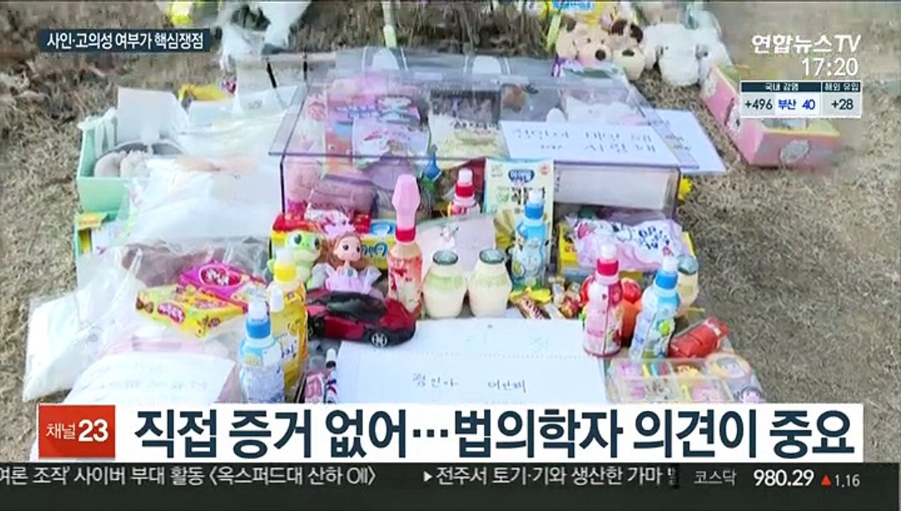 살인죄 적용 '정인이 사건'…고의성 최대 쟁점
