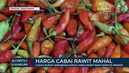 Cuaca Buruk Sebabkan Harga Cabai Rawit Naik Seratus Persen