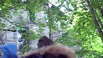 Red Woods Movie (2021)