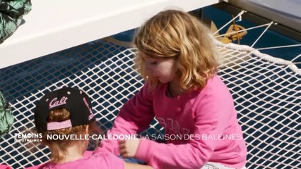 Nouvelle-Calédonie : La saison des baleines