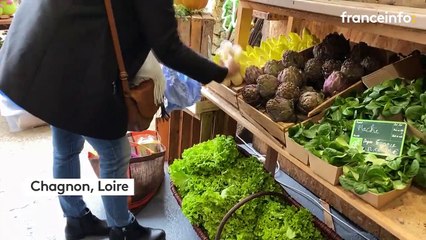 Avec Ma Bulle Bio, elle partage sur les réseaux sociaux les dessins de sa "green" (r)évolution