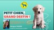 Interview de Margaux Passeri pour l'association des chiens guides d'aveugles Provence Côte d'Azur Co