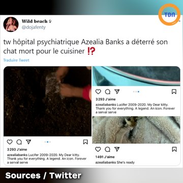 La rappeuse Azealia Banks déterre et cuisine ... son chat